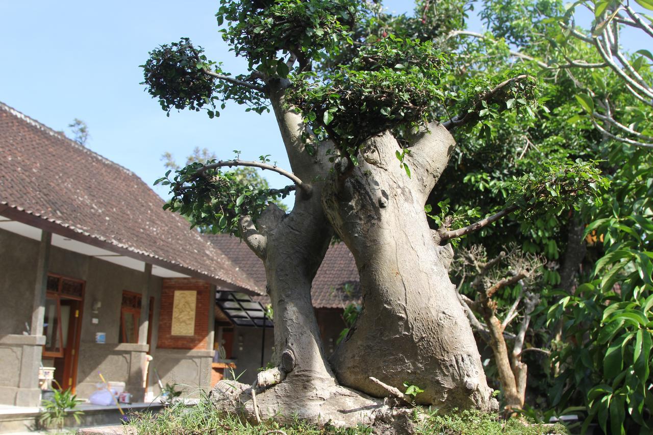 Jerogadung House Hotel Ubud  Bagian luar foto