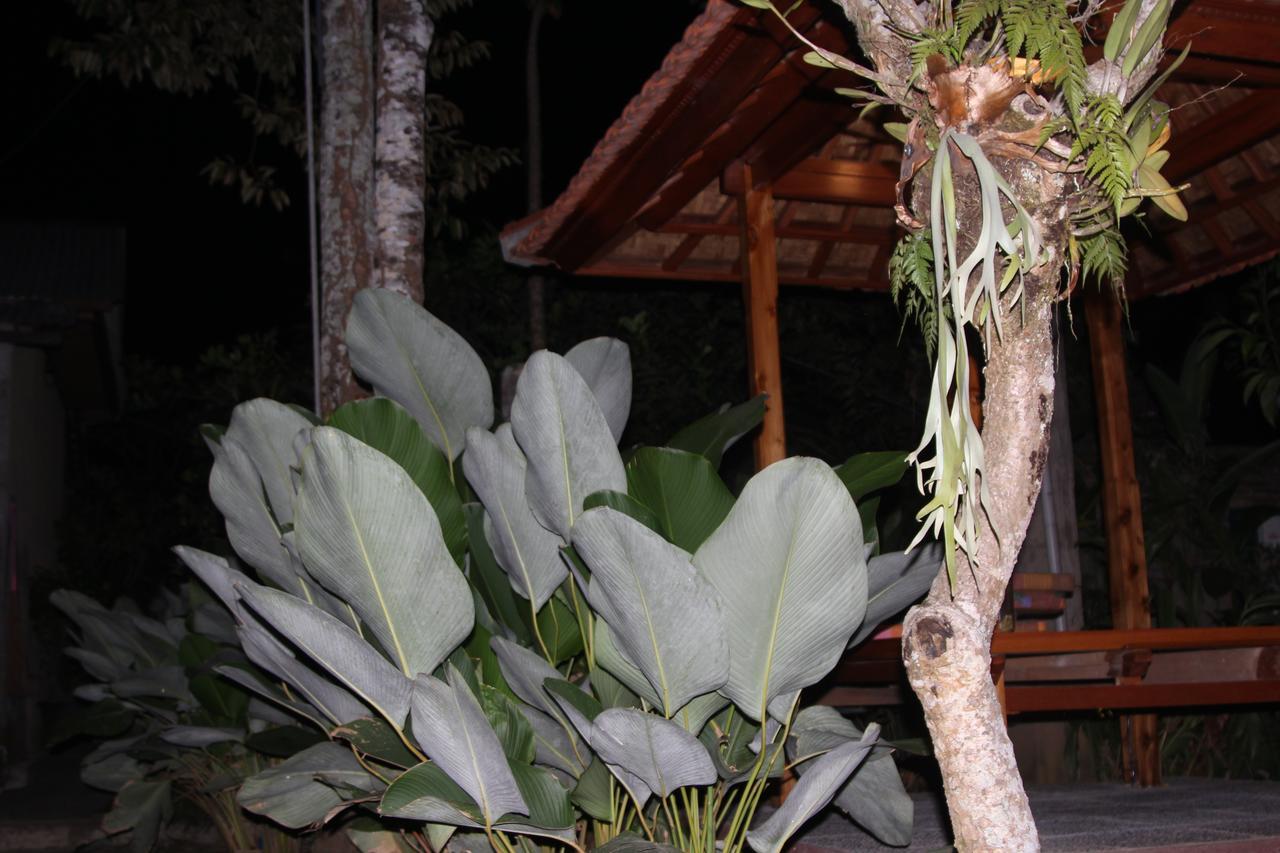Jerogadung House Hotel Ubud  Bagian luar foto